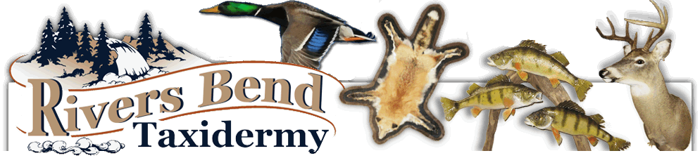 River's Bend Taxidermy